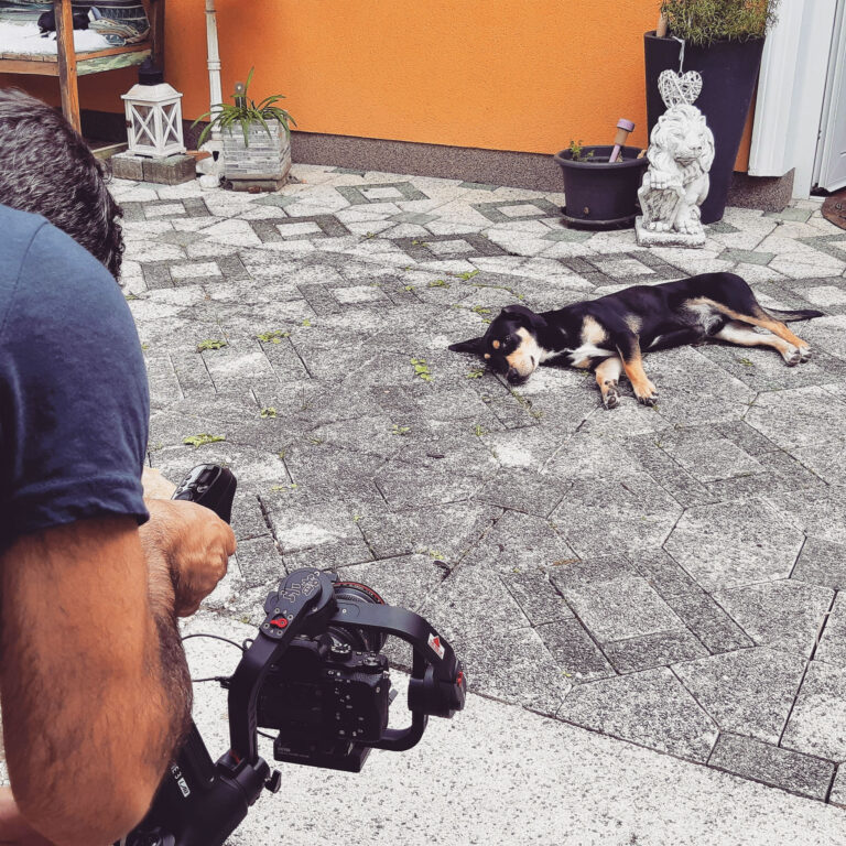 Making Of